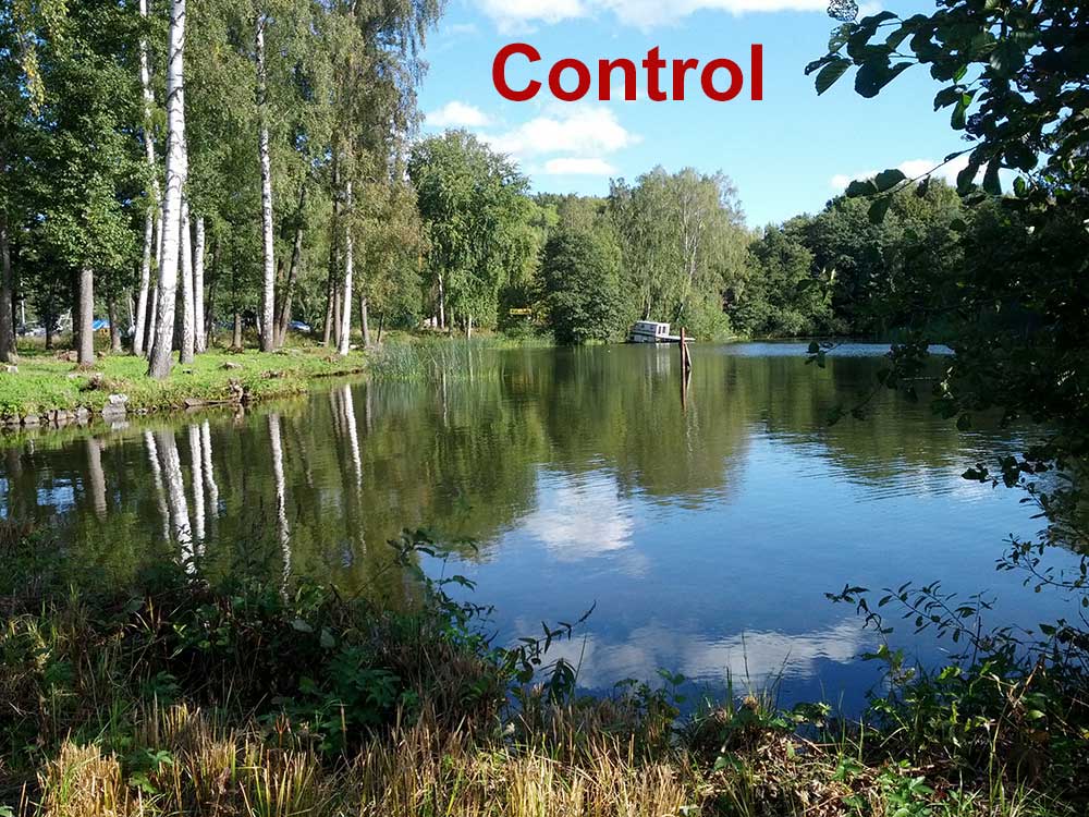 The non-js control image
